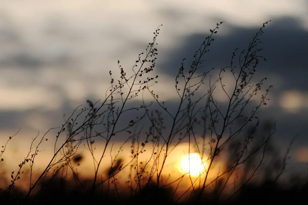 FAQ : Quelles ambiances déco privilégier pour un habitat écologique?